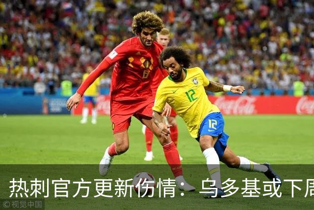 热刺官方更新伤情：乌多基或下周复出，麦迪逊可战切尔西